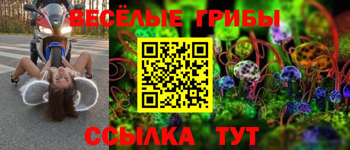 Псилоцибиновые грибы GOLDEN TEACHER Кунгур